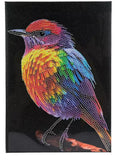 STRETCHED CANVAS DIAMOND DOT/ART KITS - HOBBY LOBBY- Rainbow Bird with black can Model