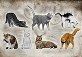1/35 Scale Cat Figurine Set ?C 7 Poses Resin Models Home Decor Unpainted Model