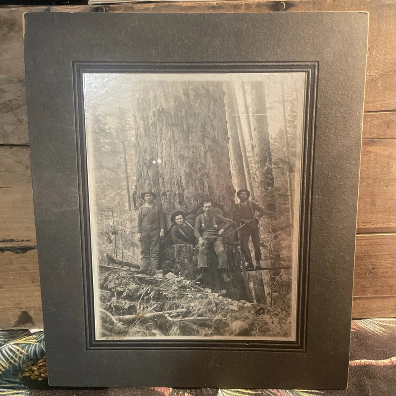Antique Lumberjack Logging PNW Occupational Large Photo On Board Model