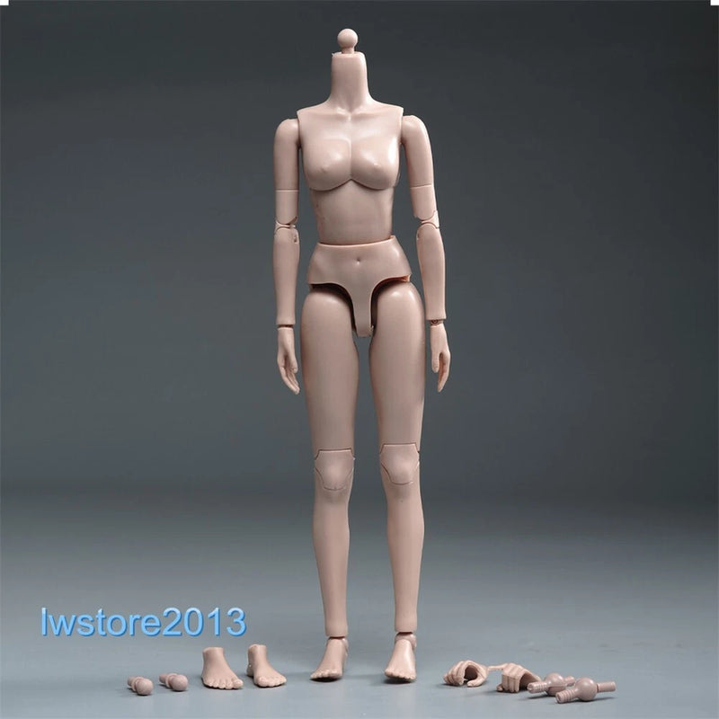 HENG TOYS 1/6 Suntan Skin Small Breast Girl 12" Female Action Figure Body Hands Model