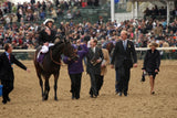 COLOR PHOTO OUIJA BOARD  2 time breeder's cup winner   Filly Mare Turf #8 Model