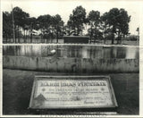 1978 Press Photo Mardi Gras Fountain, created by The Orleans Levee Board. Model