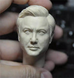 1/6  Head Sculpt  Singer  Shen teng  Head Carving  Actor Model Fit 12'' figure Model