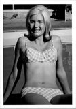 Pretty woman in a checker board bikini sitting by pool Found Photo V0448 Model