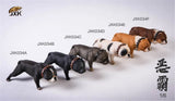 American Bully Pitbull Dog Model Pet Animal 1:6 Scale Decor Toy Gift 15 cm Model