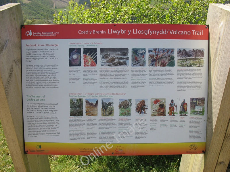 Photo 6x4 Information board in the Coed-y-Brenin forest Ganllwyd/SH7224  c2011 Model