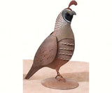 Regal Arts and Crafts 8 inch Standing Male Quail Model