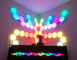DIY HEXALEAF NANOLEAF KIT 6.5" PANELS - LED's NOT INCLUDED & ASSEMBLY REQUIRED Model