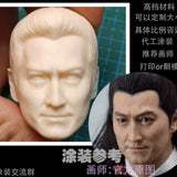 Kenny Ho  Zhan zhao 1/6 Head Sculpt For 12