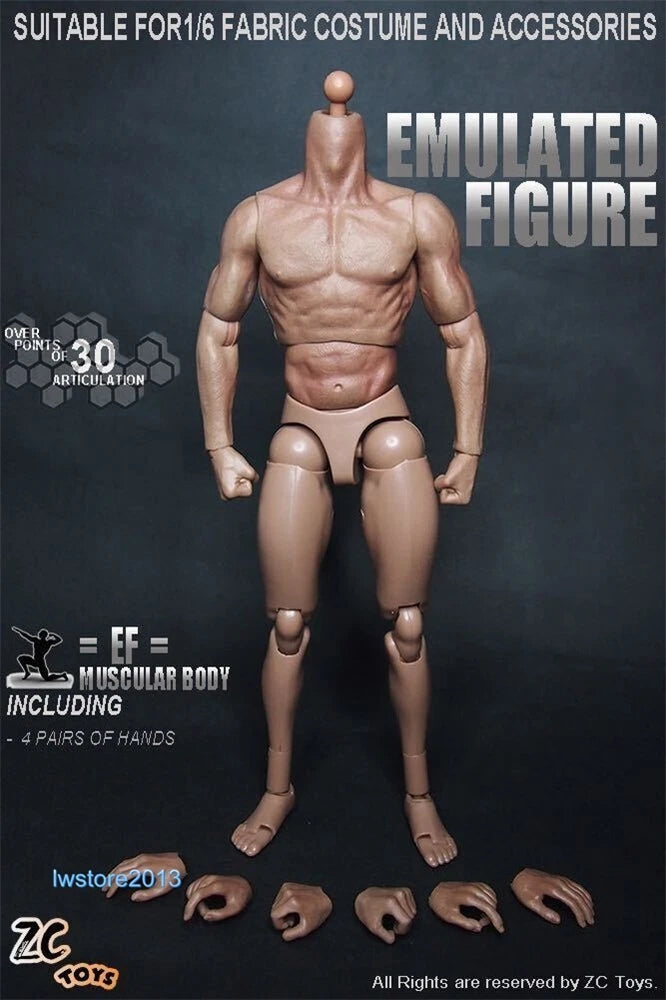 ZC Toys 1/6 Scale 12" Muscular Male Action Figure Body For Hot Toys Head Sculpt Model