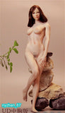 UANDD UD 1:6 Medium Bust Girl 12
