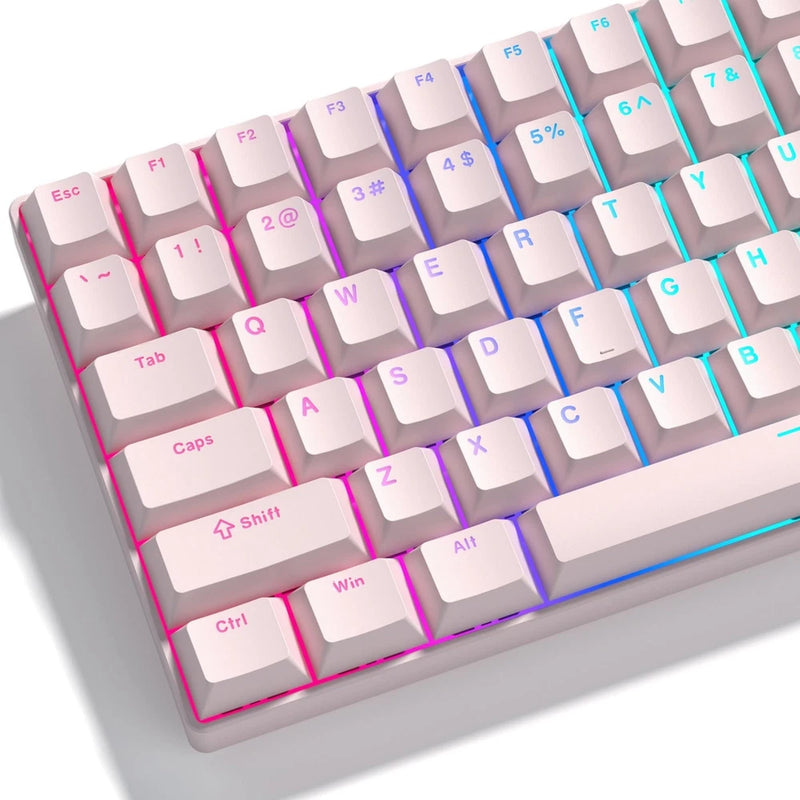 PBT Shine Through Keycaps, Cherry Profile Pink Keyboard Key caps Model
