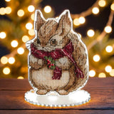 DIY Cross stitch kit "Christmas guest", Embroidery on a plastic canvas Model