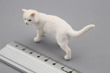 1:6 Scale Saudi White Cat Model Animal Model for 12