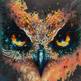 Owl gaze Fearless Bead Embroidery Kit ?C DIY Beaded Home Decor Wall Art Model