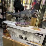 Prime 1 Studio Giganotosaurus Dinosaur Statue GK Model Collectible Display Model