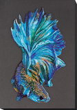 Betta Fish Blue gold Bead Embroidery Kit ?C DIY Beaded Home Decor Wall Art Model