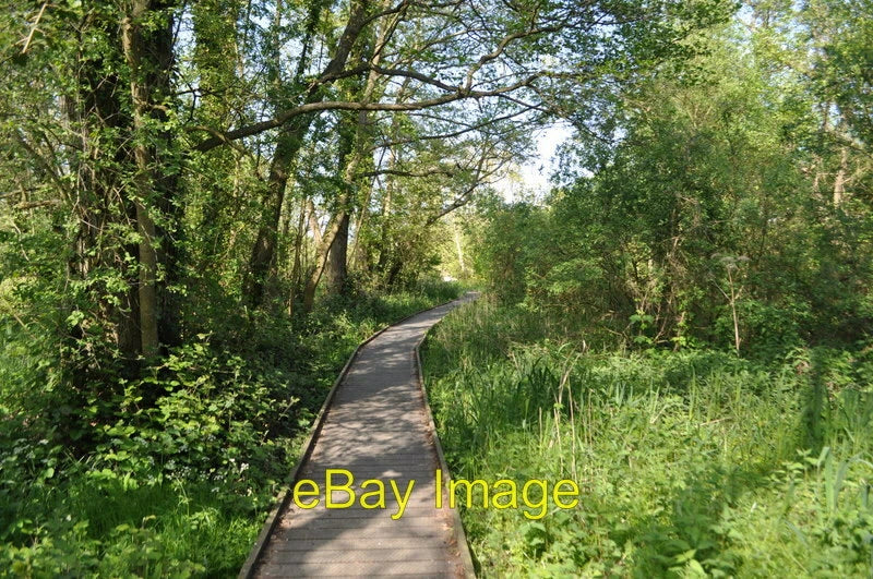 Photo 6x4 Board Walk to NWT Centre The board walk has changed very little c2011 Model