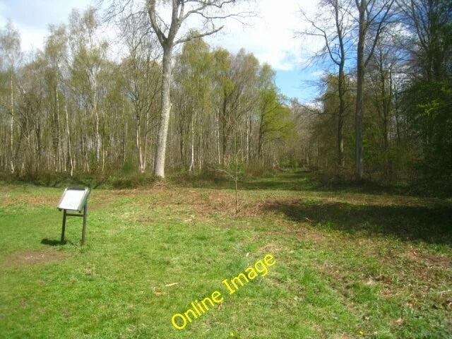 Photo 6x4 Banjo info board - Micheldever Wood East Stratton In the 1970s  c2012 Model