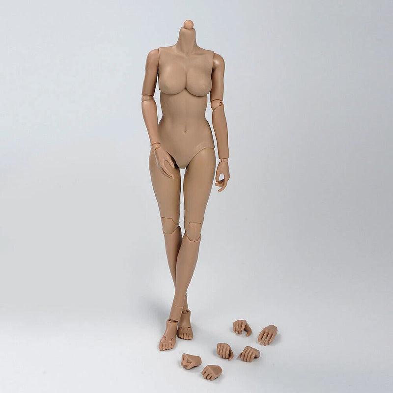 1/6 Scale Middle Chest Suntan Skin Flexible Female Body doll 12" Figure Model Model