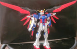 Destiny Gundam Z.A.F.T. Mobile Suit ZGMF-X42S Model