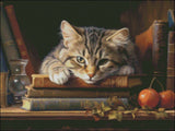Literary Lair - Counted Cross Stitch Kits Needlework Embroidery DIY Model