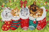 DIY Cross-Stitch Kit Dogs and Cats in Stockings Craft Kit Unique Gift Model