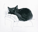 Among black cats M668 RTO Counted Cross Stitch Kit Model