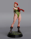 Cammy Street Fighter 300mm Hand Painted Collectible Display Model Figure Model