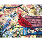 Letistitch counted cross stitch kit "Springtime Songbirds", 26x33cm, DIY Model