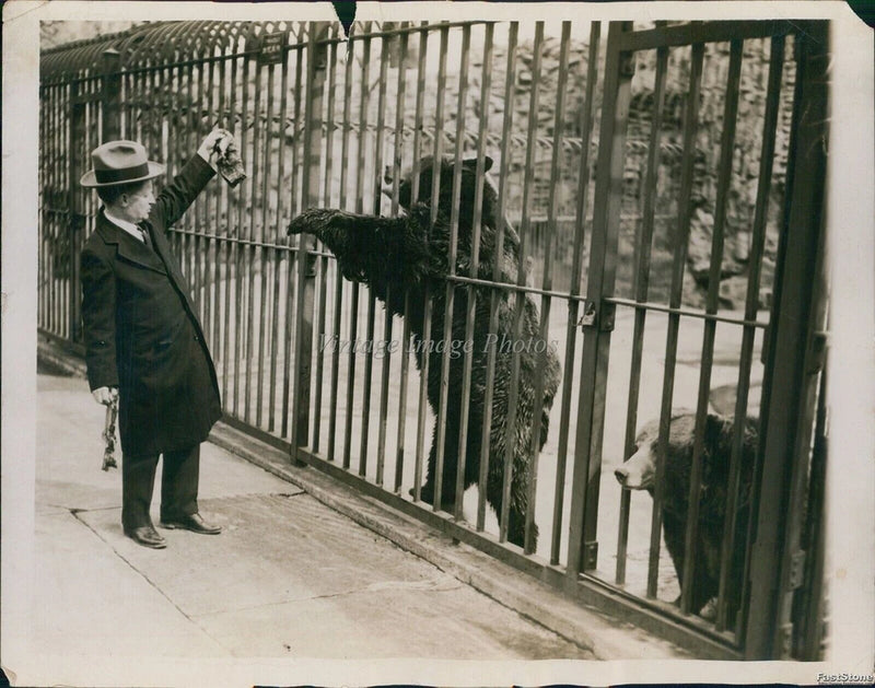 1927 Photo Lincoln Park Board Member Feeds Brown Bear Breakfast Animals 8x10 Model