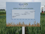 Photo 12x8 NIAB display board, Cereals 2010 Heydon/TL4340 A simple graphi c2010 Model