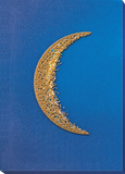 Moon Cadence-3 Bead Embroidery Kit ?C DIY Beaded Home Decor Wall Art Model