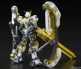 Mobile Suit Gundam Thunderbolt BANDIT FLOWER theater limited plastic model HG 1 Model