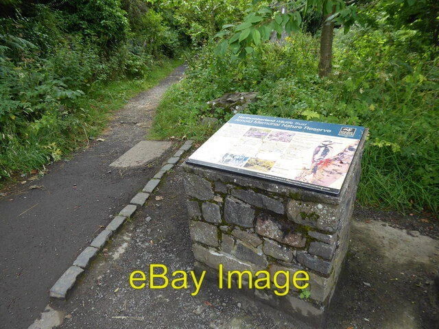 Photo 6x4 Information board at Craster Tourist Information Centre It rela c2021 Model