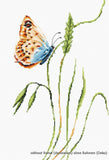 Luca-S counted Cross Stitch kit "Smell of Spring", 17,5x28,5cm, DIY Model