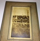 Antique Farm Outdoor Cow, Barb Wire Fence & Rock Wall Cabinet / Photo on Board! Model