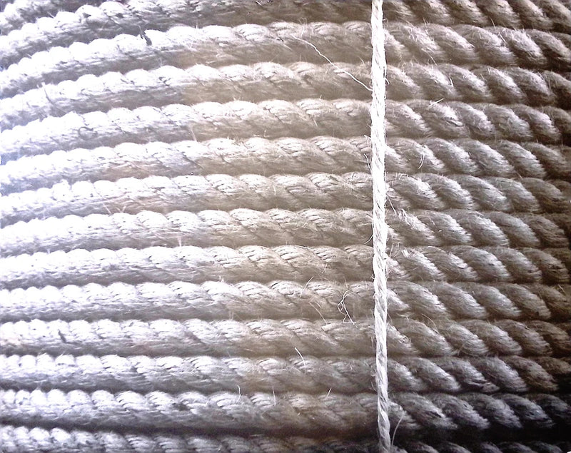 Vintage Art Board Photograph Coiled Rope Texture and Handwritten Notes on Paper Model