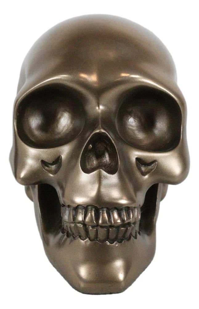 Bronze Human Skull Skeleton Resin Decor Figurine Display Statue Horror 7" Long Model