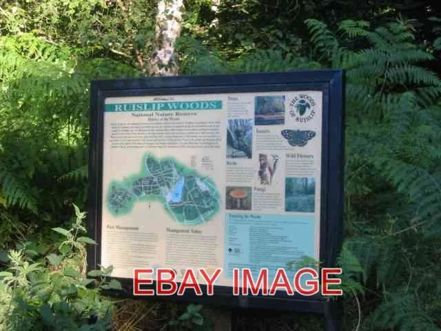 PHOTO  SIGN BOARD IN COPSE WOODS RUISLIP THE TREES ARE TOO CLOSELY PLANTED FOR P Model