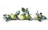 Still Life with apples B2259L Luca-S Counted Cross-Stitch Kit Model