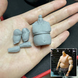 Unpainted 1/18 Single Upper Torso Model Body Arms For DIY 3.75'' Male Figure Model