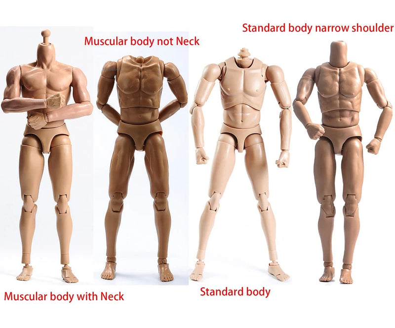 1/6 Europe Male 12" Figure Muscle/Standard Man Body Model Toy Fit Head with Neck Model