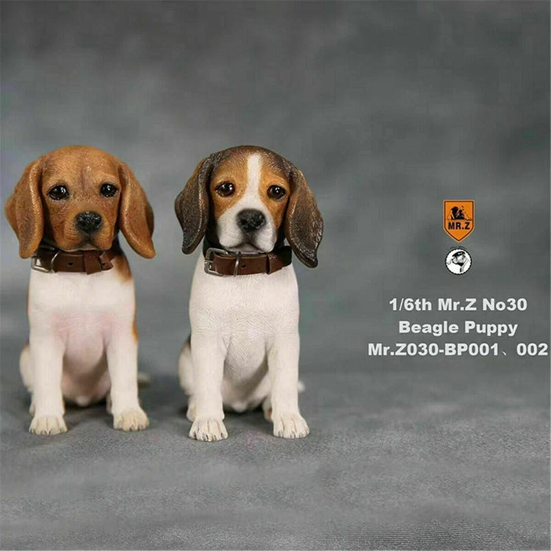 Mr.Z 1/6 Hunting Dog Beagle Puppy Figure Pet Animal Model Colllector Decor Toys Model