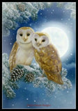 Counted Cross Stitch Kits Needlework Crafts Embroidery DIY-Owl 6 Model