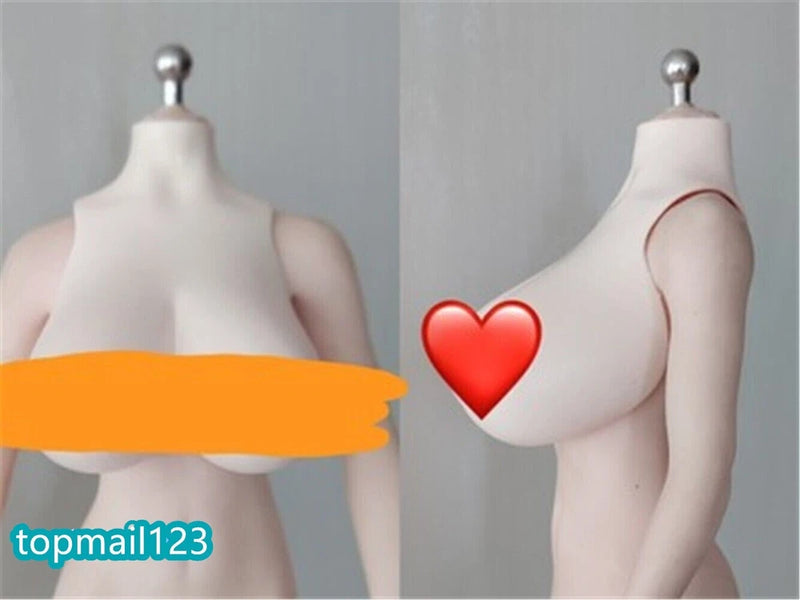 1:6 Normal Skin Small Breast Bust Cover Model For 12inch Female TBL Figure Dolls Model