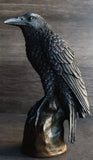 Ebros Gothic Raven Statue Crow Scavenger Bird Perching On Rock Figurine 6"H Model