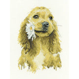 Heritage counted cross stitch kit Aida "Daisy Cocker Spaniel (A)", LCDA1896-A, 1 Model