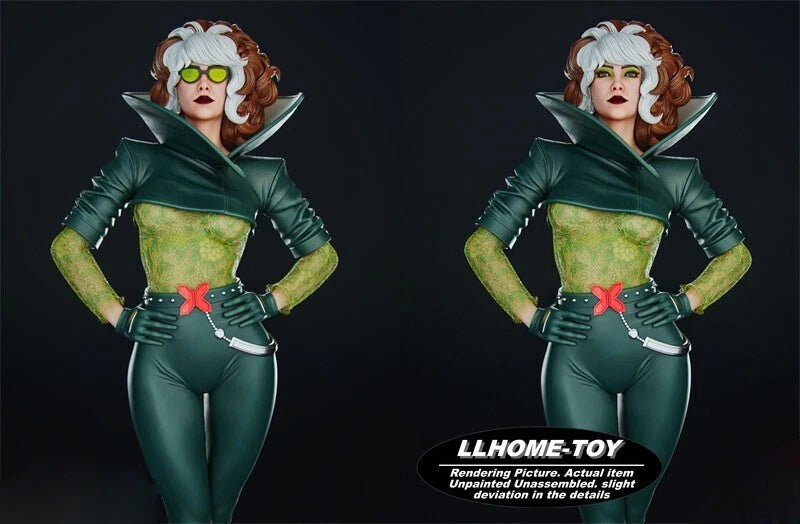 1/6 36cm Rogue 3D Print Garage Kit Figure Model Unpainted Unassembled GK Model