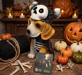 Humane Society World for Animals Halloween Skeleton Beagle Dog Figurine Decor Model